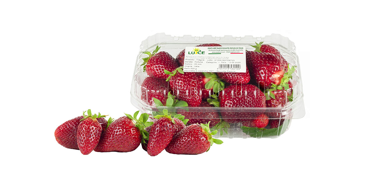 Fragole, il punto sulla campagna con Aop Luce